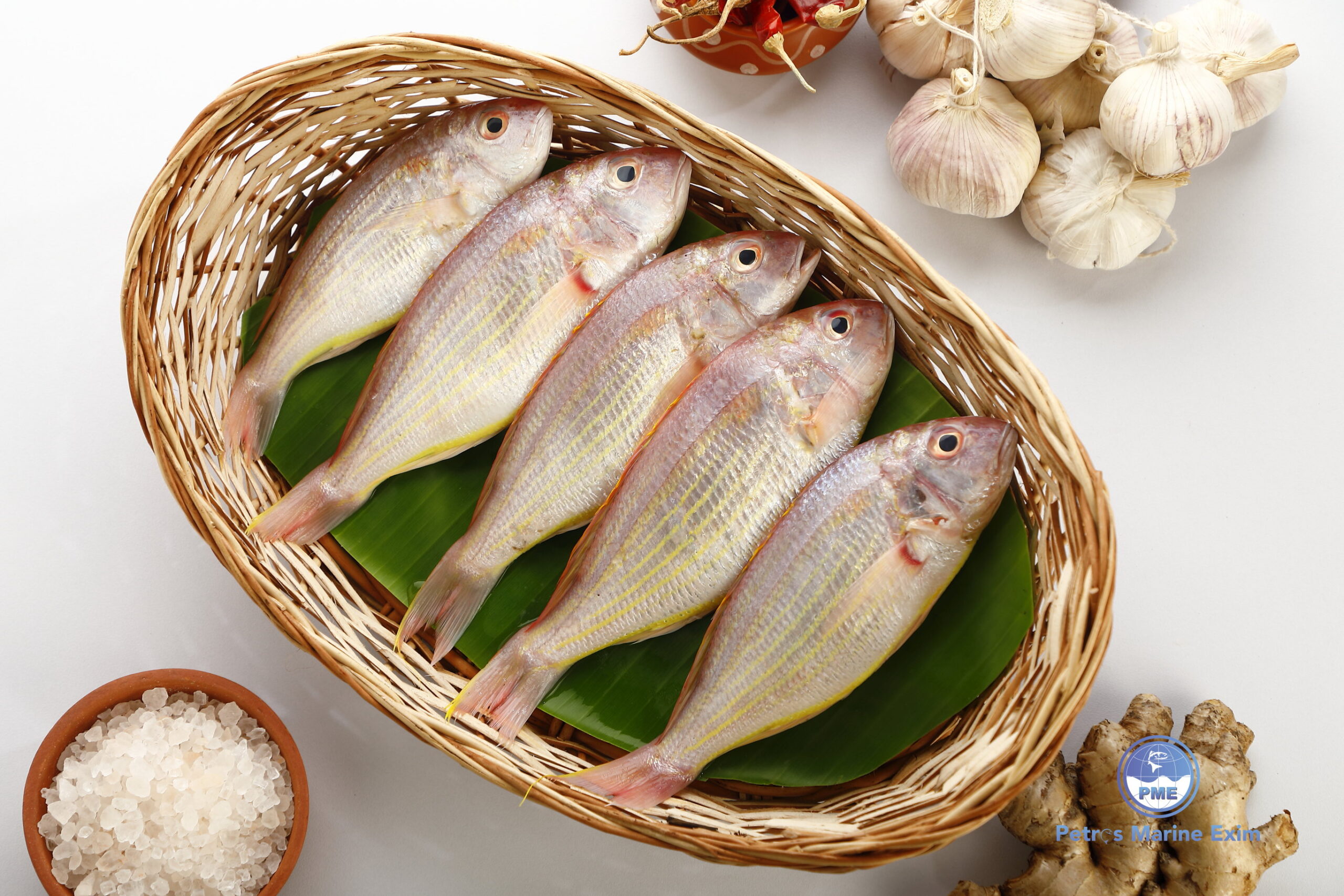 சங்கரா மீன் JAPANES BREAM