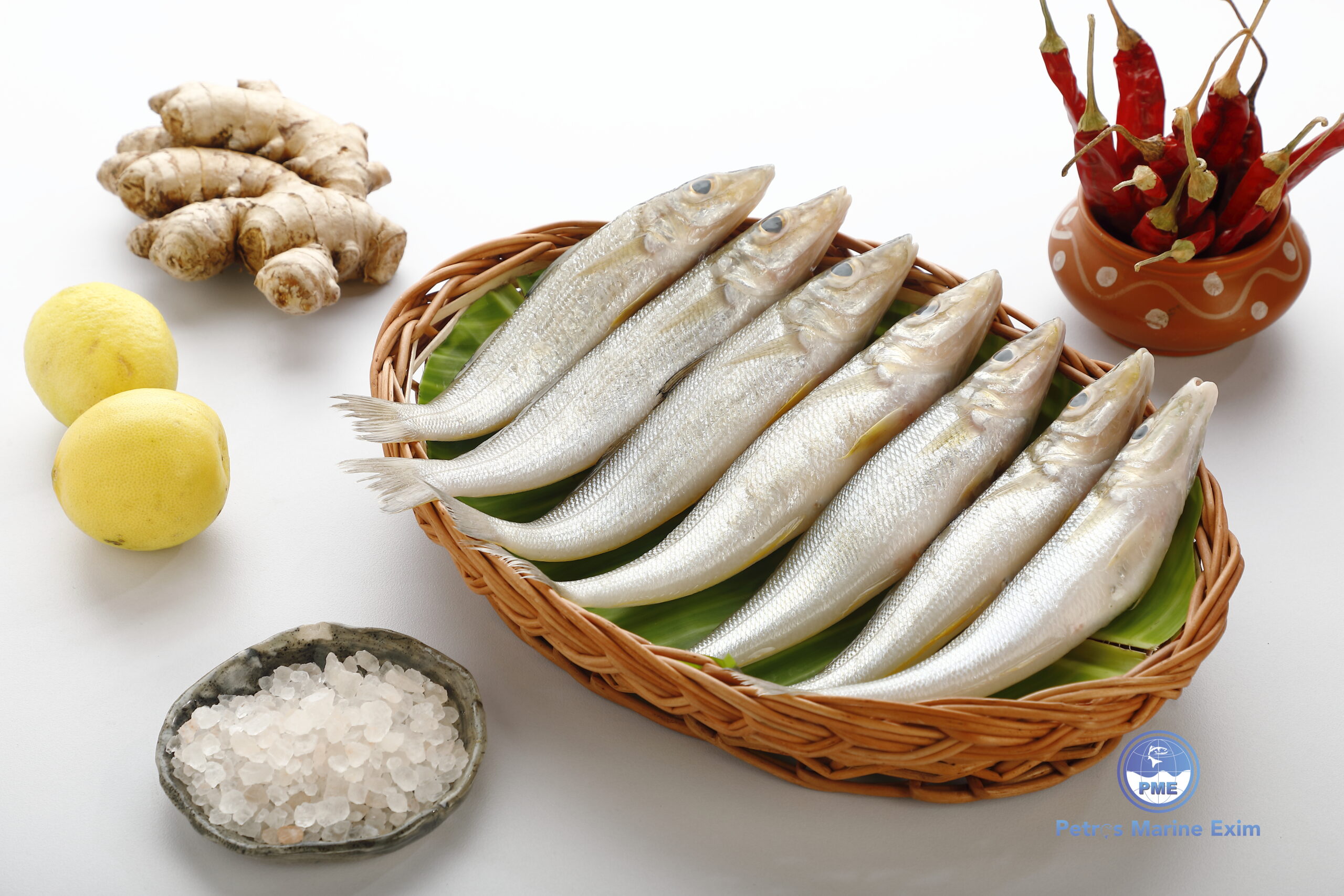 வெள்ளை கிளாங்கான் மீன் LADY-FISH